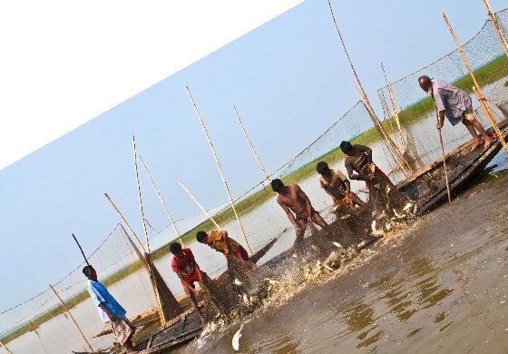 DeshiFish – Fresh & Tasty